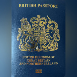 ویزا بنیان گذار نوآور انگلستان